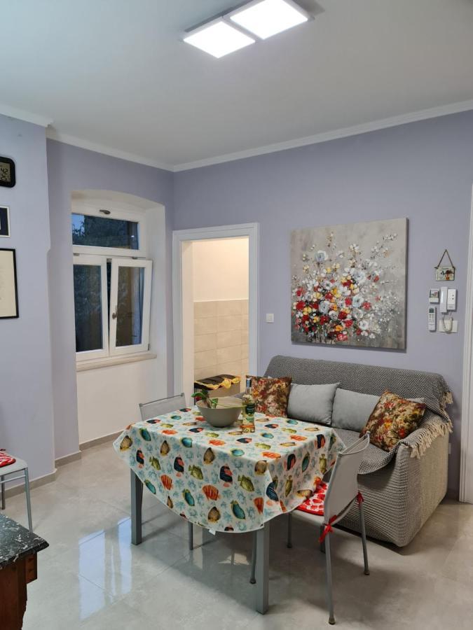 Villa Jure - Apartment Mirjana ロヴラン エクステリア 写真